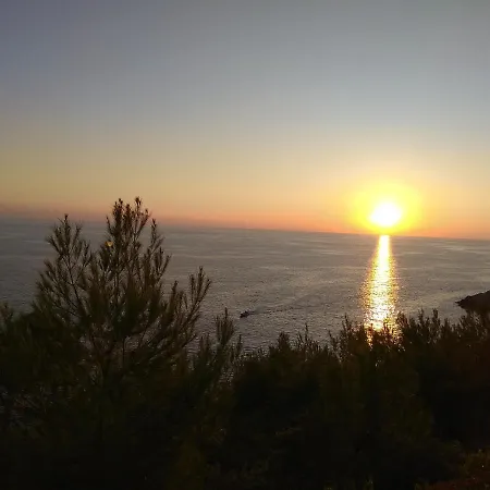 Zora, Starigrad Paklenica, *
