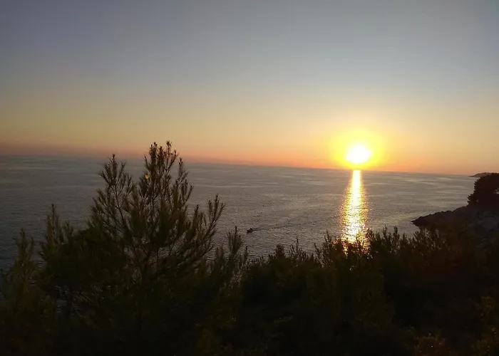 Zora, Starigrad Paklenica, *