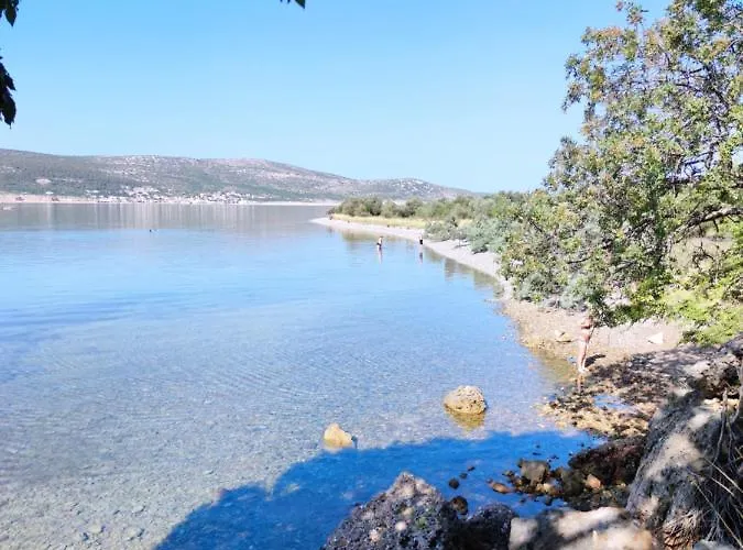Zora, Starigrad Paklenica,