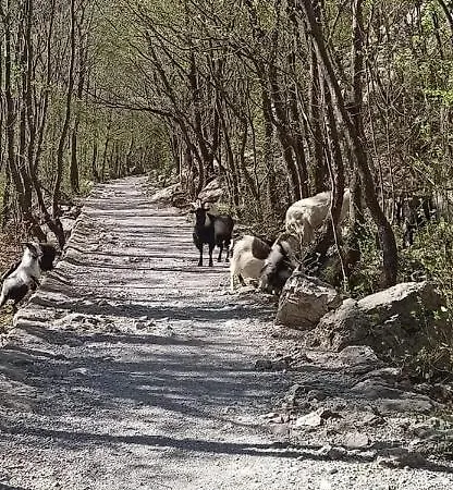 Zora, Starigrad Paklenica, * Seline